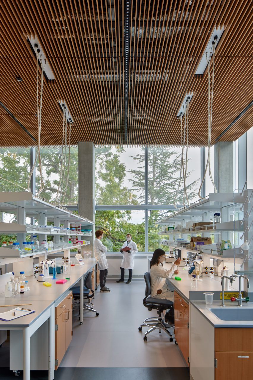 Researchers collaborating in a university laboratory