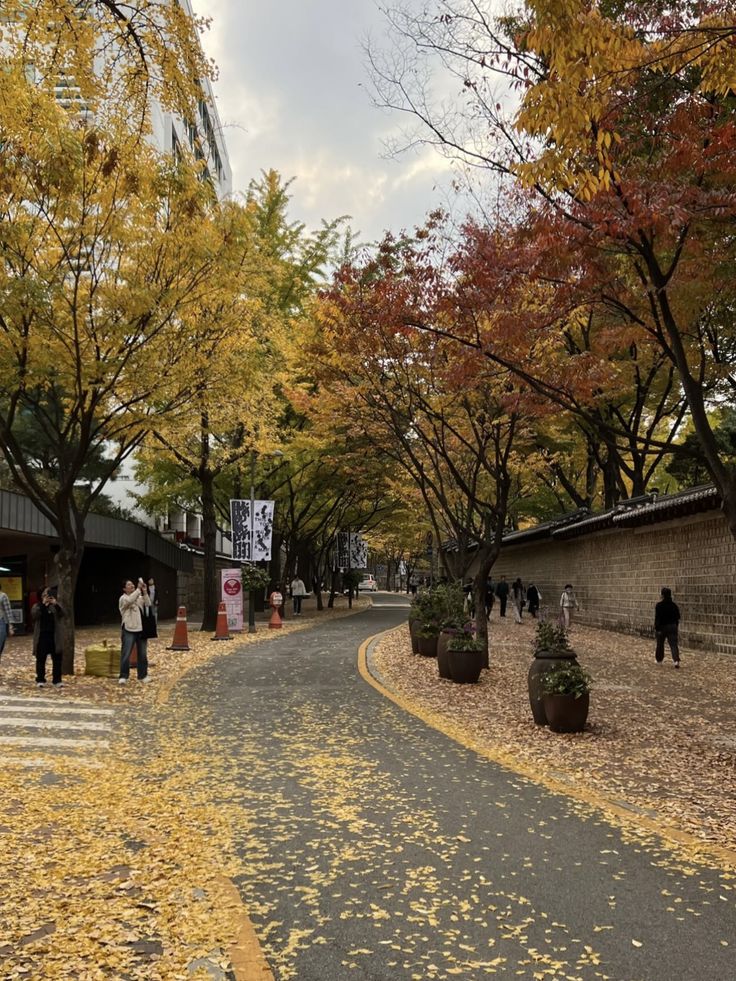 Students walking on a Korean university campus during autumn