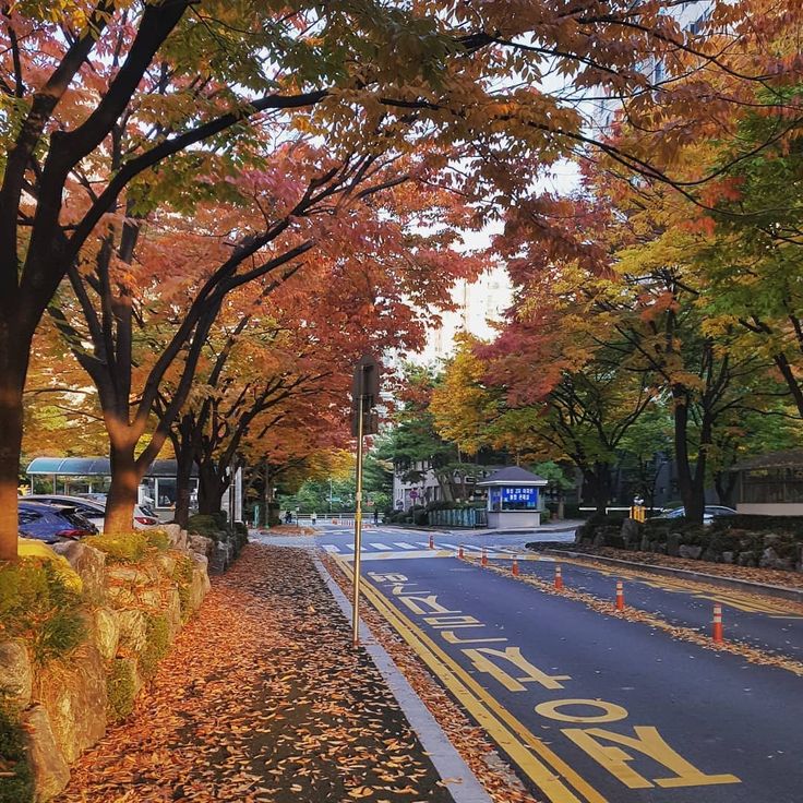 Students walking on a Korean university campus in autumn
